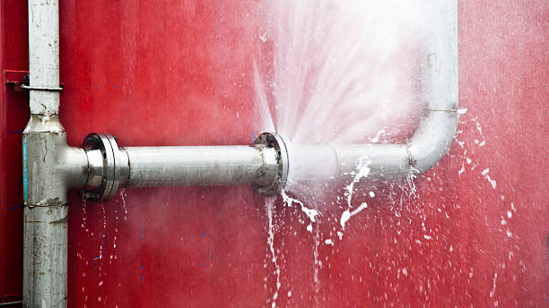 Best Local water damage restoration  in Lla Lla East, WA